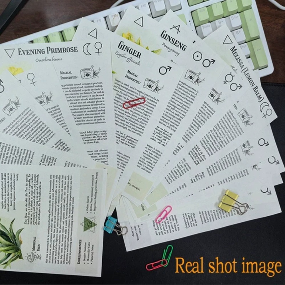 Książka z przepisami na tinktu – Herbal Wellness Book recenzja i cena