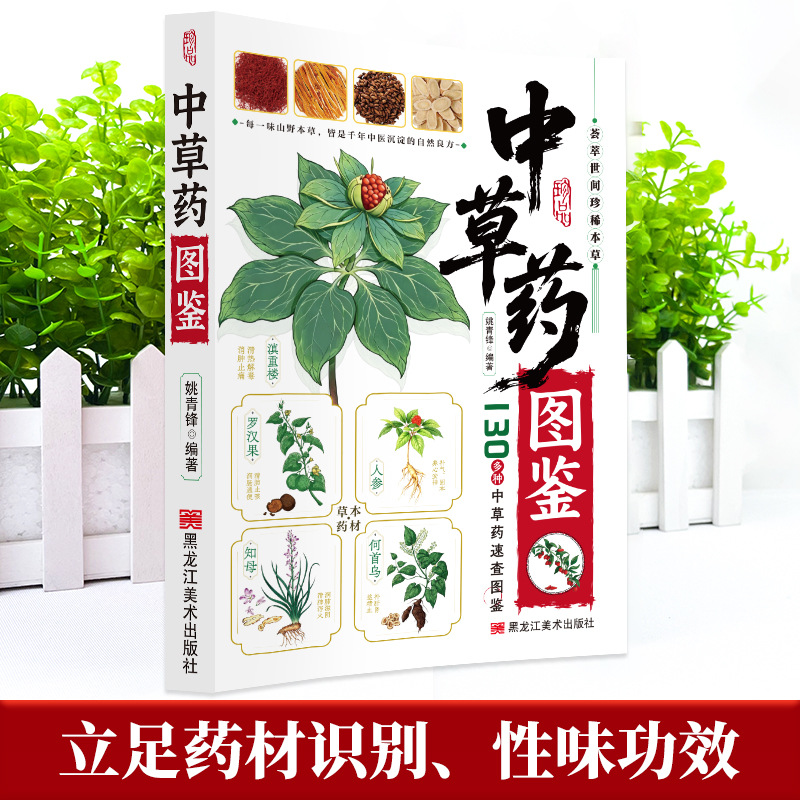 Ilustrowany przewodnik: Chińsk – Herbal Wellness Book recenzja i cena