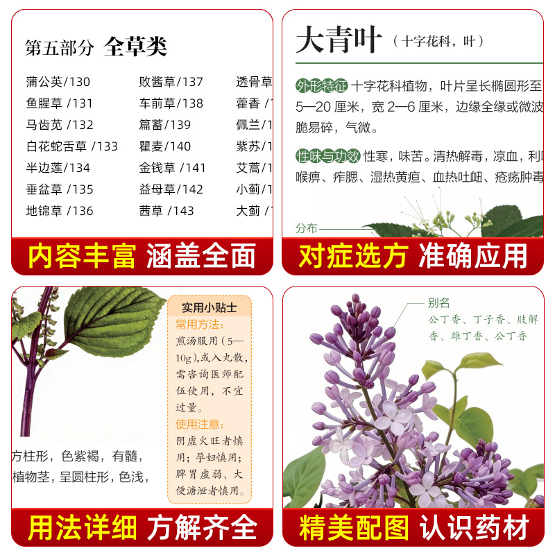 Ilustrowany przewodnik: Chińsk – Herbal Wellness Book recenzja i cena