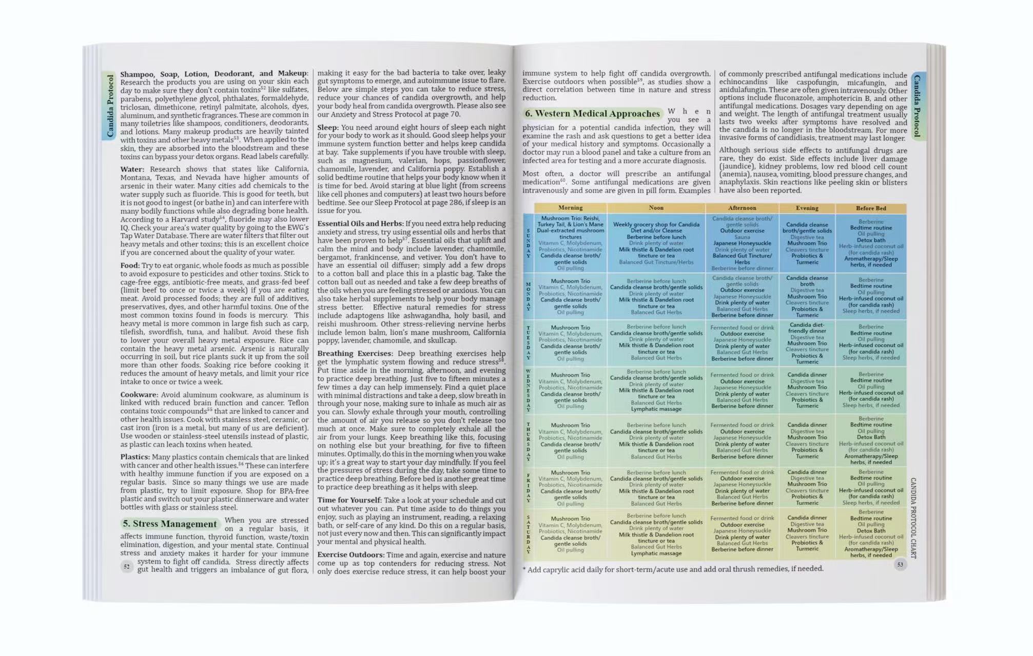 Kompleksowy przewodnik do zdro – Herbal Wellness Book recenzja i cena